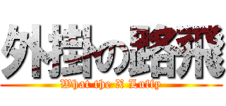 外掛の路飛 (What the X Luffy)