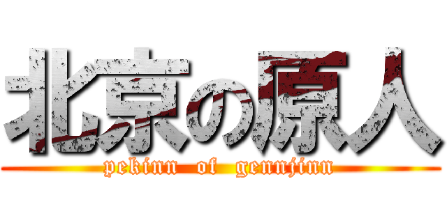 北京の原人 (pekinn  of  gennjinn)