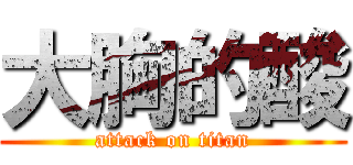 大胸的酸 (attack on titan)