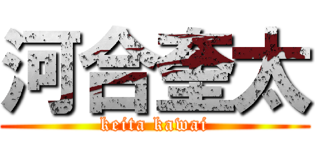 河合奎太 (keita kawai)