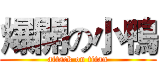 爆開の小鴨 (attack on titan)