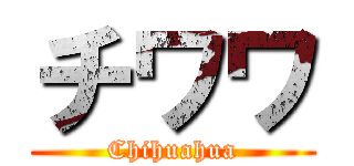 チワワ (Chihuahua)