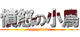 憤怒の小鳥 (angry birds)