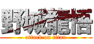 野城龍悟 (attack on titan)