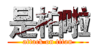 是柏啦 (attack on titan)