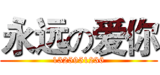 永远の爱你 (1325951236)
