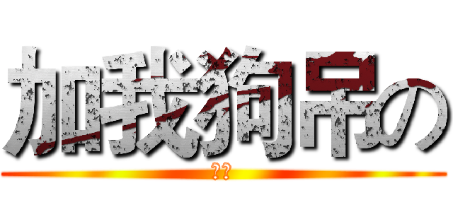 加我狗吊の (大斌)