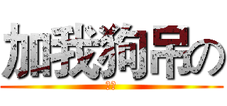 加我狗吊の (大斌)