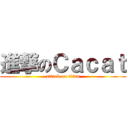 進撃のＣａｃａｔ (attack on titan)