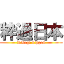 粋過日本 (ikisugi nippon)