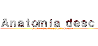 Ａｎａｔｏｍíａ ｄｅｓｃｒｉ (Mariana Castillo y Camila González)