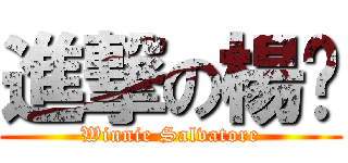 進撃の楊妮 (Winnie Salvatore)