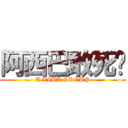 阿西巴敢死队 (A XIBA GROUP)