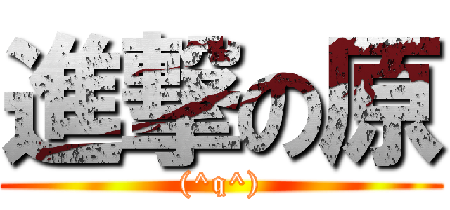 進撃の原 ((^q^))