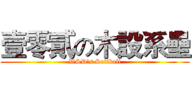 壹零貳の木設系壘 (WSD's Softball)