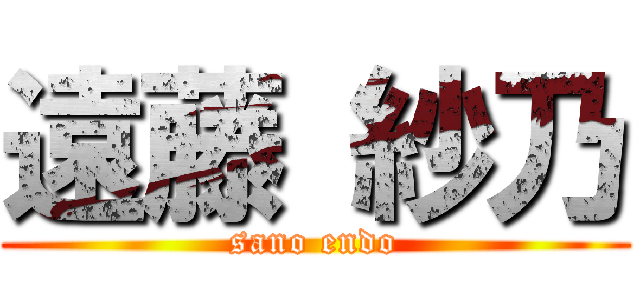 遠藤 紗乃 (sano endo)