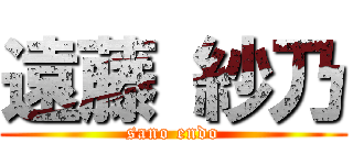 遠藤 紗乃 (sano endo)