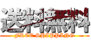 送料無料 (FREE SHIPPING)