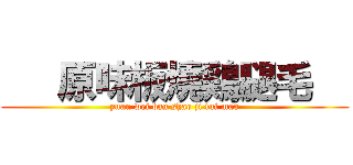    原味板燒鶏腿毛   (yuan wei ban shao ji tui mao)