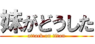 妹がどうした (attack on titan)