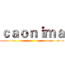 ｃａｏｎｉｍａ ()