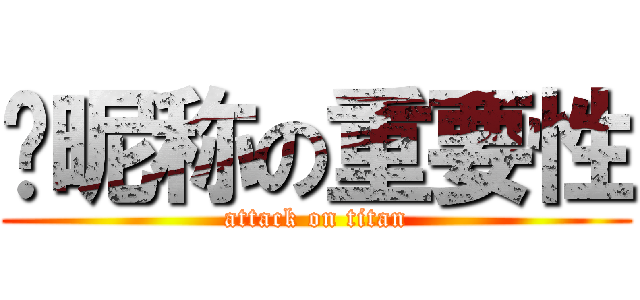 论昵称の重要性 (attack on titan)