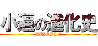 小逼の進化史 (BIBOBI-*)