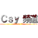 Ｃｓｙ 频道 (欢迎来到csy 的频道)