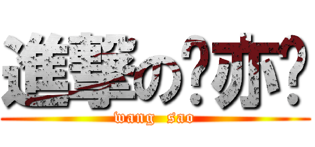 進撃の卢亦农 (wang  sao)