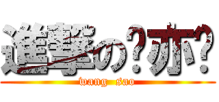 進撃の卢亦农 (wang  sao)