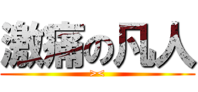 激痛の凡人 (><)