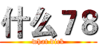 什么７８ (what dick)
