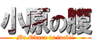 小原の腹 (Mr.Obara is fuck!!)