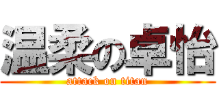 温柔の卓怡 (attack on titan)