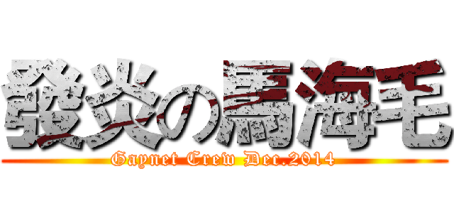 發炎の馬海毛 (Gaynet Crew Dec.2014)