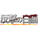 反撃の白猫 (attack on titan)