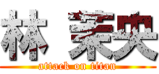 林 茉央 (attack on titan)