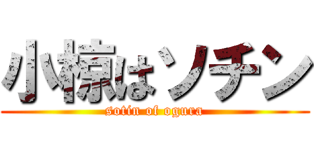 小椋はソチン (sotin of ogura)