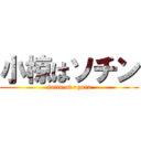 小椋はソチン (sotin of ogura)