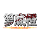 箩底橙 (luo di cheng)