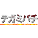 テガミバチ (tegami bachi: letter bee)