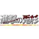 進撃の兎杉 (attack on titan)