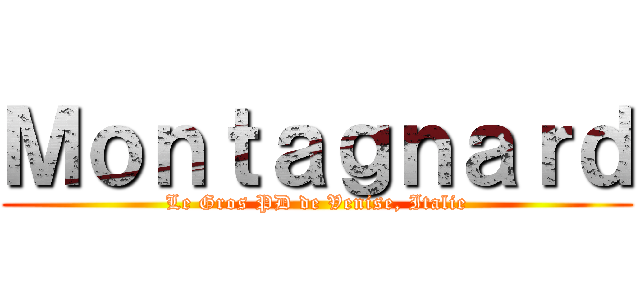 Ｍｏｎｔａｇｎａｒｄ (Le Gros PD de Venise, Italie)