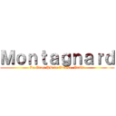 Ｍｏｎｔａｇｎａｒｄ (Le Gros PD de Venise, Italie)