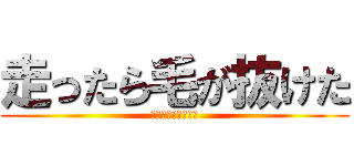 走ったら毛が抜けた (ワンダフルパイパン)