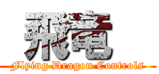  飛竜   (Flying Dragon Controls)