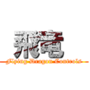  飛竜   (Flying Dragon Controls)