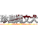 珍島縄文犬 (attack on titan)