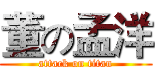 董の孟洋 (attack on titan)