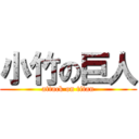 小竹の巨人 (attack on titan)